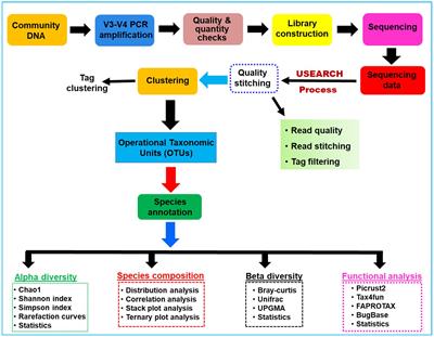 Elucidating the structure, and composition of bacterial symbionts in the gut regions of wood-feeding termite, Coptotermes formosanus and their functional profile towards lignocellulolytic systems